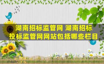 湖南招标监管网 湖南招标投标监管网网站包括哪些栏目